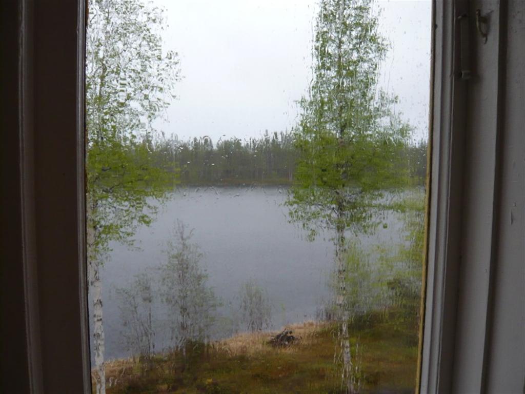 http://naturallore.files.wordpress.com/2009/07/rain-on-window-large.jpg