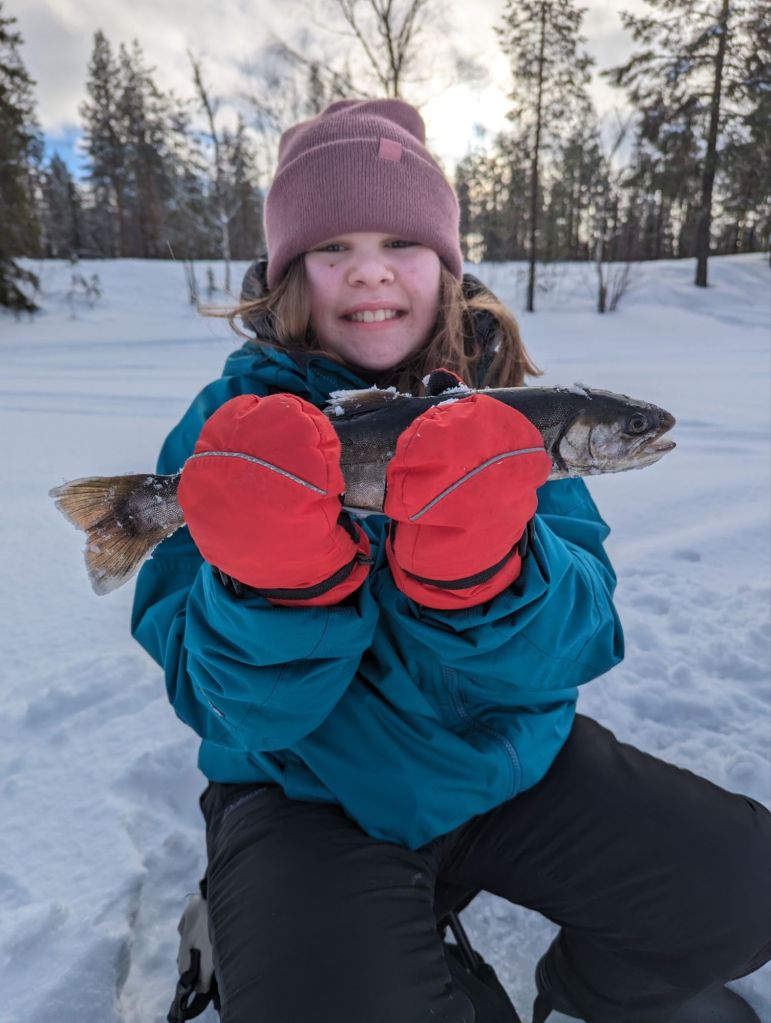 Ice fishing premier  Laplander's Natural Lore Blog